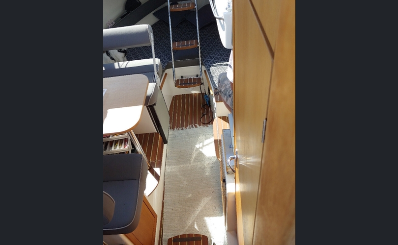 MV-Marin 6600 Fc-kuva-2